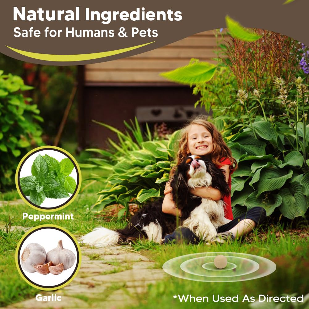 CLVDOFSS Mole Repellent for Lawns, Groundhog Repellent Outdoor, Armadillo Repellent, Mole Deterrent for Yard, Vole Repellent Outdoor, Gopher Repellent, Safe for Family & Pets, 8 Packs