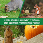 SUAVEC Squirrel Repellent Outdoor, Chipmunk Repellent for Car, Peppermint Squirrel Deterrent for Garden, Squirrel Repellents for Attic, Repellant Squirrels Indoor, Squirrels Repellant for Plants-8P