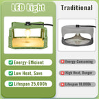 Kittmip 2 Pack Flea Trap for Inside Your Home with Light, 4 LED Light Bulbs and 10 Sticky Bed Bug Trap Pad Refills Flea Killer for Dog Cat Anti Flea Control Non Toxic Harmless, Kids Pets Friendly