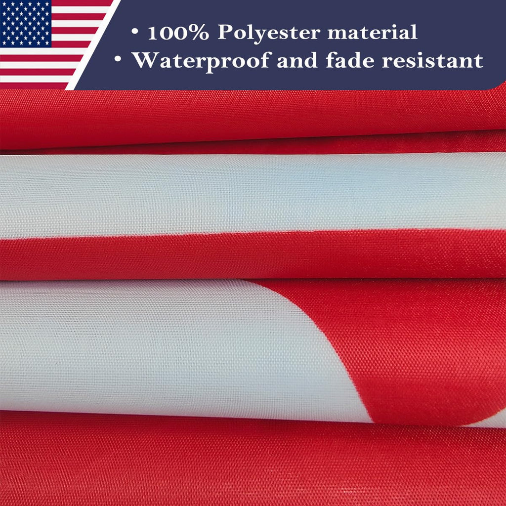Double Sided Red Trump 2024 Flag 4x6 Made in USA Outdoor Heavy Duty 3 Ply Polyester Trump Take America Back Flag with White Starting Tape and 2 Brass Grommets