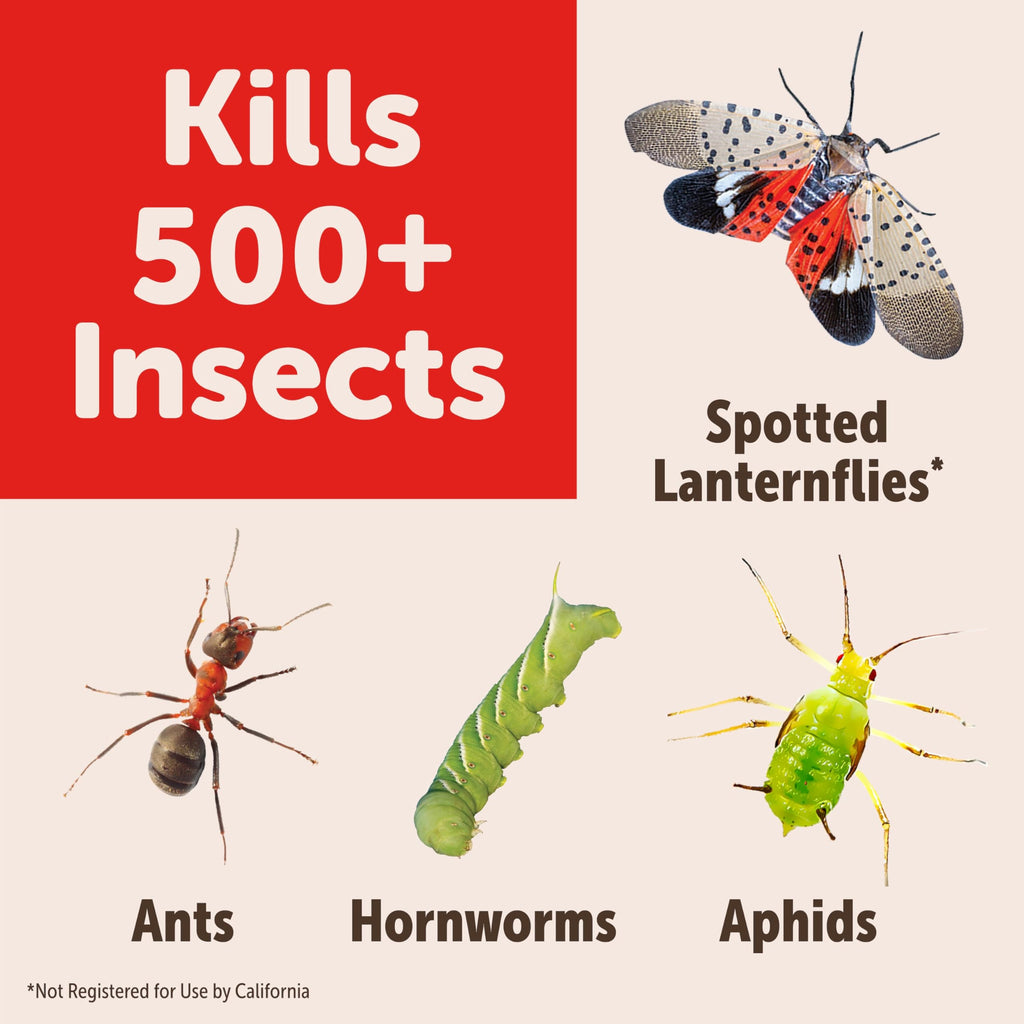 Sevin Insect Killer RTS 32OZ, White Label