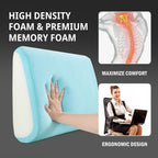 HOMBYS Lumbar Support Pillow for Recliner Chair, Memory Foam Back Support Cushion for Elderly,Extra Large Lumbar Support Pillow with Extension Straps