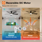 addlon Ceiling Fans with Lights, 52 inch Low Profile Ceiling fan with Light and Remote Control, Flush Mount, Reversible, 3CCT, Dimmable, Noiseless, Black Ceiling Fan for Bedroom, Indoor/Outdoor Use
