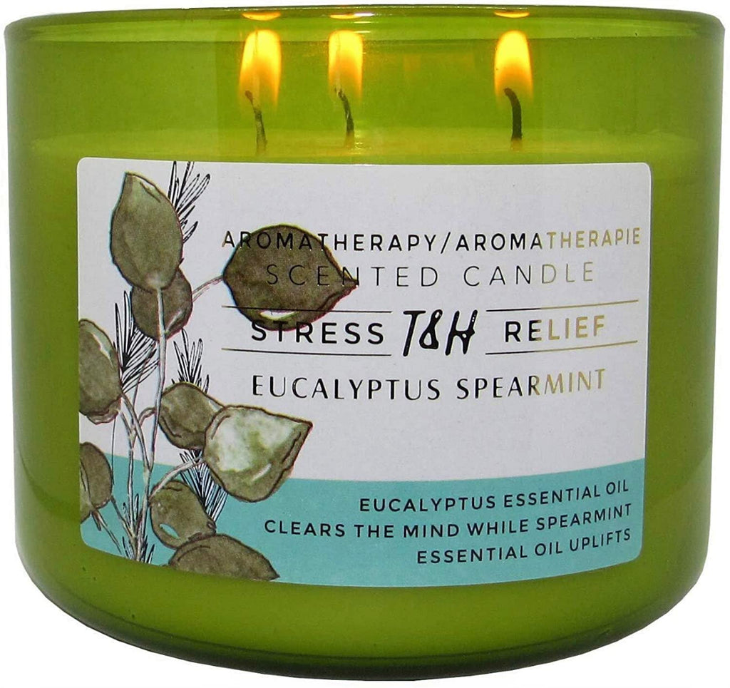 Eucalyptus Spearmint Aromatherapy Candle 3-Wick | Soy Scented Candle for Home | 15.8 oz Large Candle for Men and Women | Long Lasting Eucalyptus Candle | Decorative Candle Gift