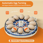 12 Egg Incubators for Hatching Eggs, Temperature and Humidity Control, Automatic Egg Turning, Egg Candler, Automatic Water Refill, for Chicken, Quail & Duck Eggs, Perfect for Home, Farm, Classroom