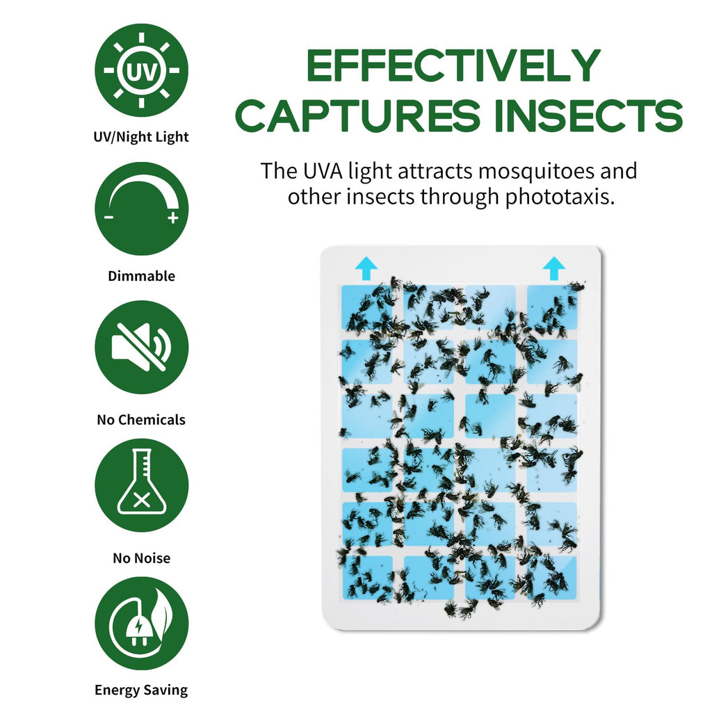Carmelie Refills Glue Boards for Indoor Fly Trap, Flying Insect Trap, Insect Catcher, Fruit Fly Traps for Indoors, for Gnat, Fruit Files, Bugs, Mosquitoes Killer, Pack of 10