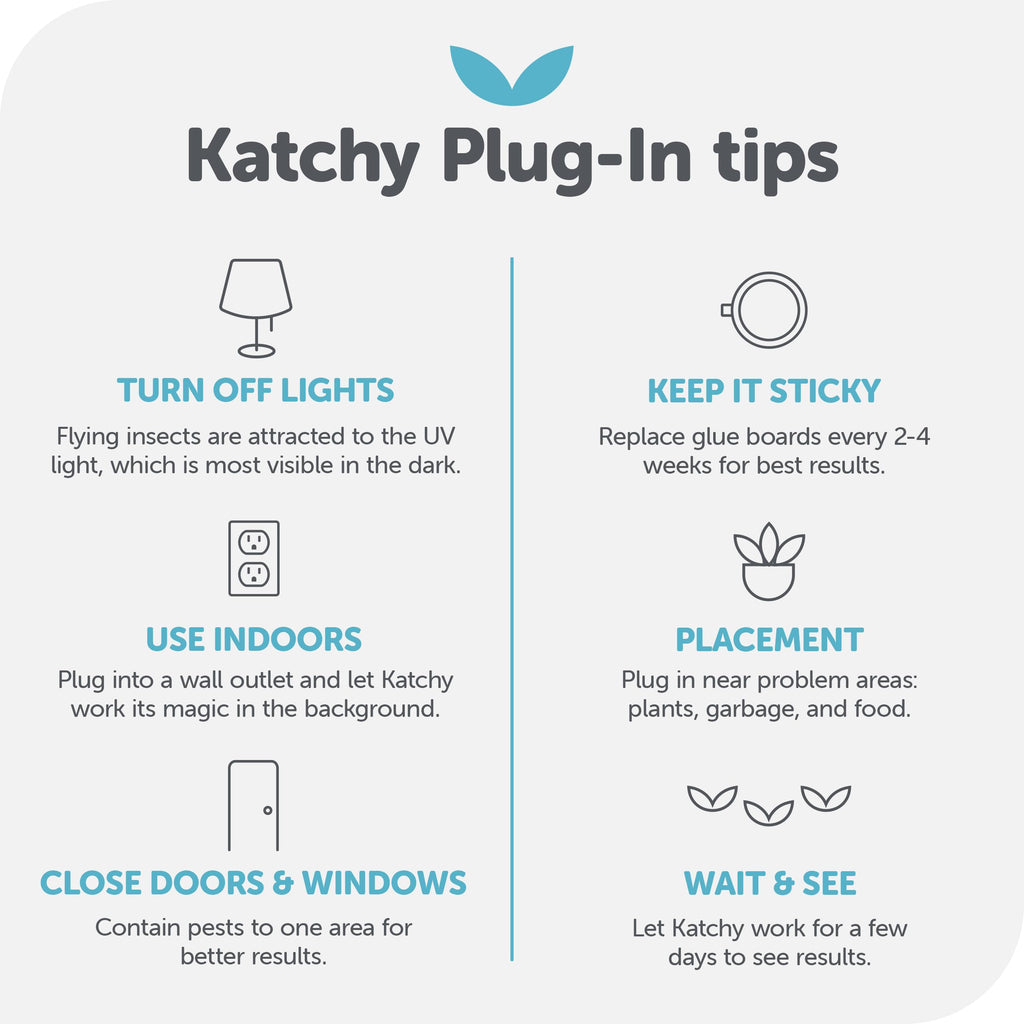 Katchy Plug-in Fly Trap Indoor – Blue Light Bug Catcher for Mosquito, Gnat, Fruit Fly & Small Moth – Chemical-Free & Eco-Friendly – All Indoor Areas: Kitchen, Living Room & Plants (2 Pack)
