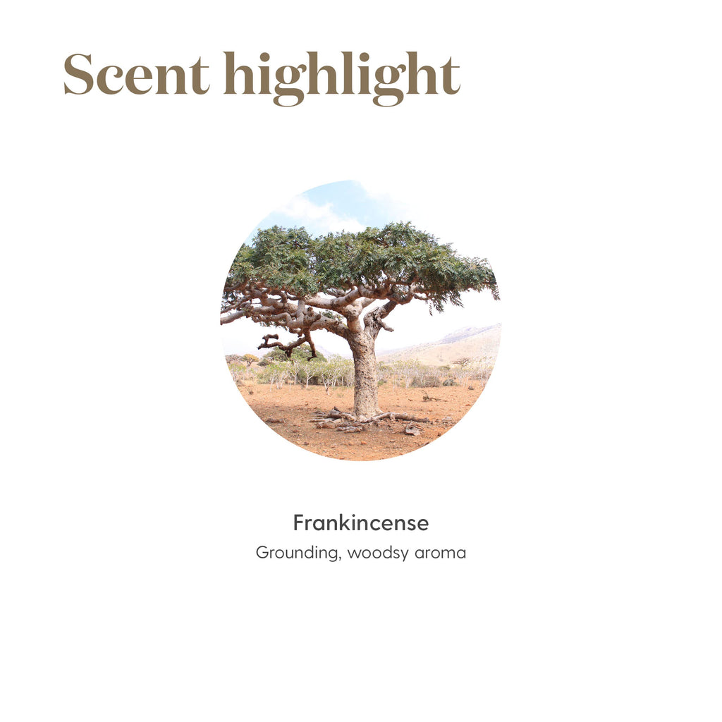 Young Living Frankincense Essential Oil 15ml - Pure & Therapeutic Grade Oil - Warm, Spicy Aroma - Promotes Relaxation, Calmness & Holistic Wellness Journey