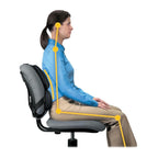 Fellowes Professional Series Back Support, Black (8037601)