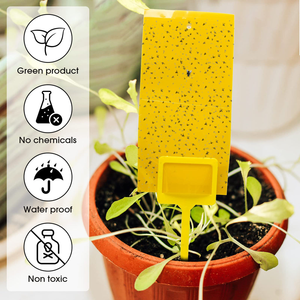 Double Sided Sticky Traps Gnat Killer for Flying Plant Insect Indoor Outdoor Such as Fungus Gnats, Whiteflies, Aphids, 7.9 x 4 Inches (Yellow, 550 Pcs)
