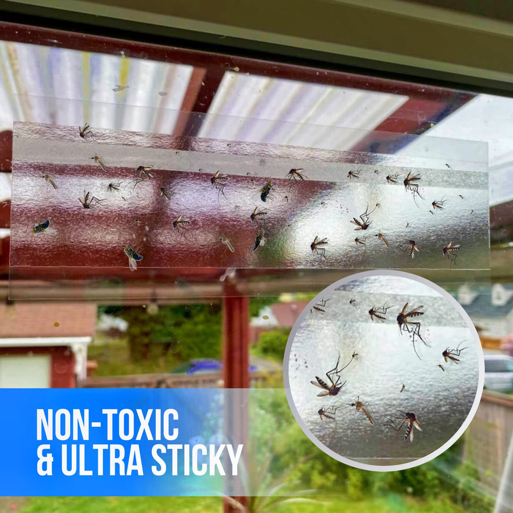 Garsum Window Fly Traps Indoor, Fly Paper Bug Sticky Strips, House Fly Killer Window Decal Non-Toxic,4 Piece per Pack Total 48 Pices