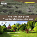 CLVDOFSS Mole Repellent for Lawns, Groundhog Repellent Outdoor, Armadillo Repellent, Mole Deterrent for Yard, Vole Repellent Outdoor, Gopher Repellent, Safe for Family & Pets, 8 Packs