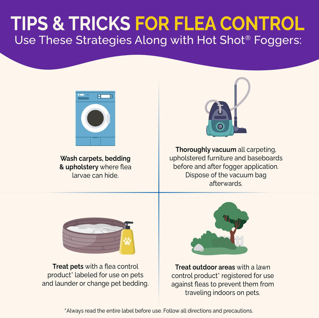 Hot Shot Bedbug and Flea Fogger 4 Count-2 Ounce Cans, with Nylar, Inhibits Flea Reinfestation