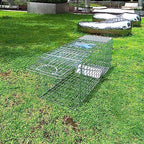 Large Collapsible Humane Live Animal Cage Trap No-Kill Trapping Kit for Humane Catch Release Rabbits, Stray Cat, Squirrel, Raccoon, Other Fit Sized Animals, Heavy Duty, 2-Doors 32" x 11.5" x 12.5"