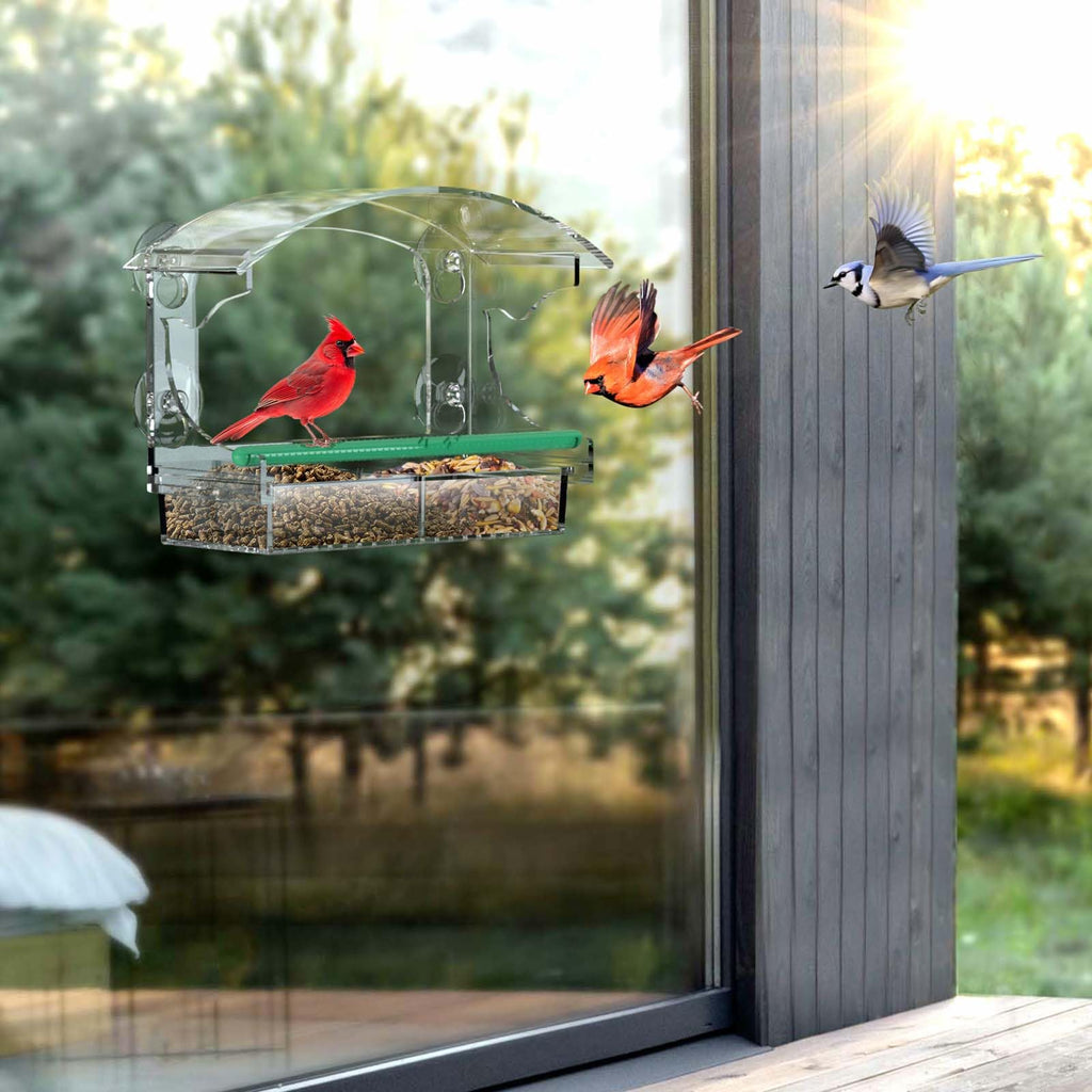 BPYOT Clear Acrylic Window Bird Feeder for Outside with 4 Strong Suction Cups and Detachable Seed Tray, are Unique Gardening Gifts for Parents/Elderly Grandpa/Grandma/Grandparents
