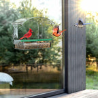 BPYOT Clear Acrylic Window Bird Feeder for Outside with 4 Strong Suction Cups and Detachable Seed Tray, are Unique Gardening Gifts for Parents/Elderly Grandpa/Grandma/Grandparents