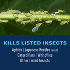 BioAdvanced Tree & Shrub Insect Killer, Outdoor Pest Control, Ready-to-Spray, 32 oz