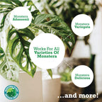 Monstera Plant Food by Houseplant Resource Center | Premium Liquid Fertilizer (5-2-3 NPK) - Ideal for Monstera, Pothos, and Snake Plants (8 Fluid Ounces)