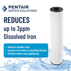 Pentair Pentek RFFE20-BB Big Blue Water Filter, 20-Inch, Whole House Radial Flow Iron Reduction Replacement Cartridge, 20" x 4.5", Pack of 2