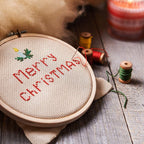 Caydo 12 Pieces 5 Inch Embroidery Hoops, Cross Stitch Hoops Ring Bulk Wholesale for Christmas Ornaments Decoration and Art Craft Handy Sewing