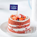 ZXvZYT Dont Blame Me I Voted for Trump 2024 Flag Toothpick,Small Mini Donald Trump Cupcake Toppers Stick flags Decoration(50Pcs Blue and 50Pcs Red)