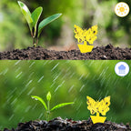 144 Pack Fruit Fly Traps Fungus Gnat Traps Yellow Sticky Bug Traps,Non-Toxic and Odorless for Indoor Outdoor Use Protect The Plant