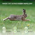 MAGIC CAT Rabbit Repellent Outdoor, 10 Pack Natural Peppermint Oil Deer and Rabbit Away Repellent for Plants Pet Family Safe, Rabbit Deterrent Deer Stopper to Keep Deer Bunny Out of Yard Garden Lawn