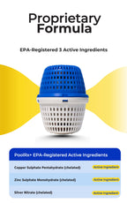 PoolRx+ Mineral Algaecide Unit + Booster Combo, Treats 7.5K-40K gallons for up to 6 Months, New Formula with Silver.