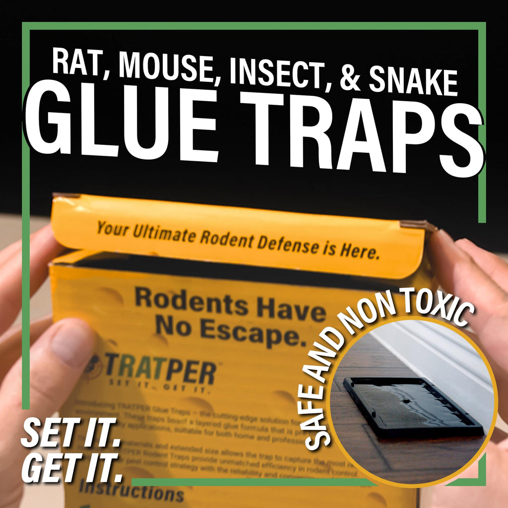 TRATPER Glue Traps for Mice,Rat,Mouse,Snake,Lizard,Insect. 12 Pack. Extra Strength,Pre-Baited Adhesive.Heavy Duty Plastic Tray.Non-Toxic,Chemical-Free Pest Control for Home. 12Pack