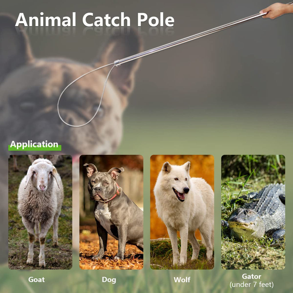 Wamlet Animal Catcher Pole Control Tool Kit for Bulldog Alligator Hog Dog Pig Fox - 52 inches