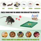 Kittmip 18 Pcs Glue Mouse Traps Mouse and Insect Glue Traps Plastic Mouse Sticky Traps for Mice Rats Snake Lizard Insect Spider for Indoor Home Warehouse Courtyard Kitchen (Green)