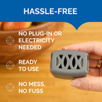 Hot Shot Flying Insect Trap, Discreet, Hassle-Free Trap Attracts, Captures House and Fruit Flies, 24/7 Continuous Attraction, No Plug-in Or Electricity Needed, 6 Count 984ml Each
