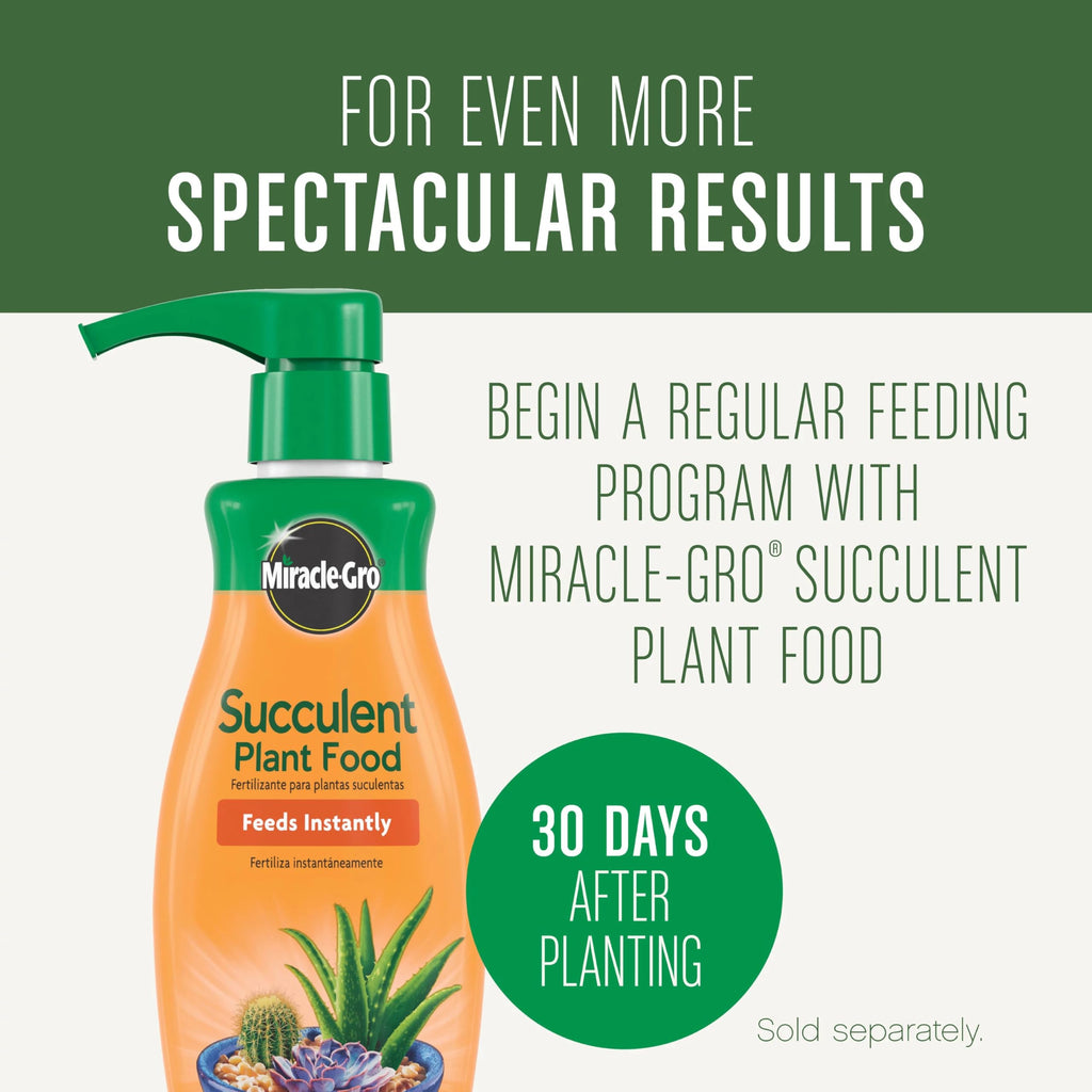 Miracle-Gro Succulent Potting Mix: Fertilized Soil with Premium Nutrition for Indoor Cactus Plants, Aloe Vera and More, 4 qt.