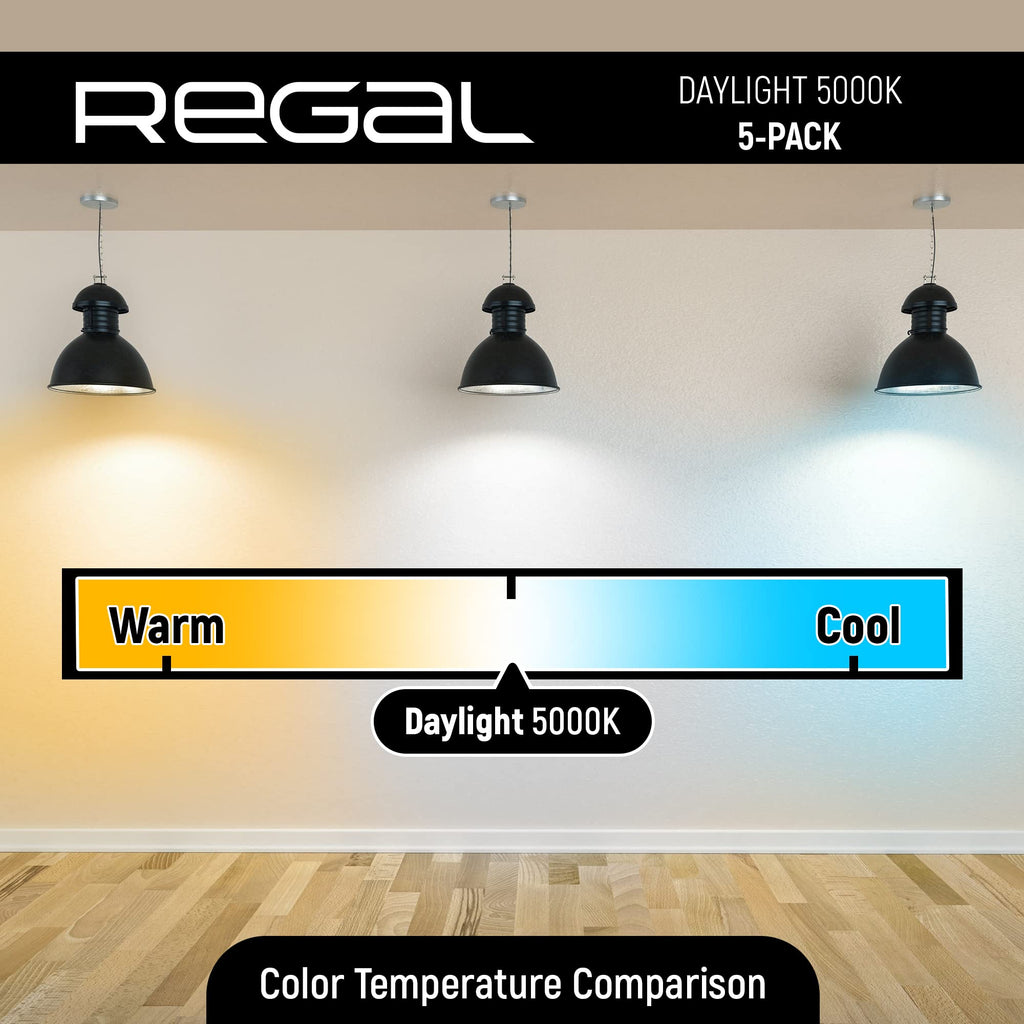 Regal LED A19 Light Bulb 5000K Daylight 800-Lumen, 9-Watt (60-Watt Equivalent), E26 Base, 5000 Kelvin, Day Light, 5-Pack, Non-Dimmable