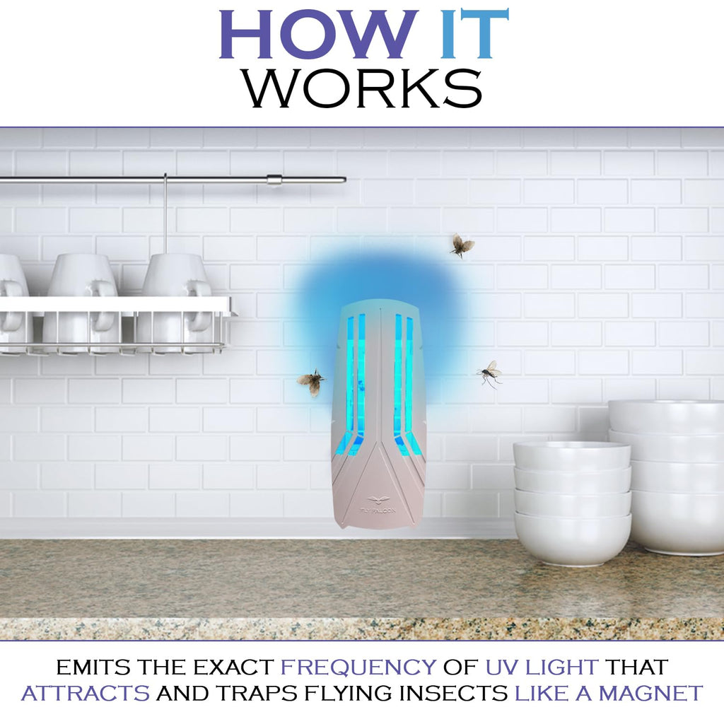 UV Light Indoor Fly Trap - Plug in Flying Insect Trap with UV Light Lure - Includes 5 Sticky Glue Traps - Perfect for Mosquito, gnat, Moth, Fruit Flies, House Flies & Fleas