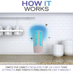 UV Light Indoor Fly Trap - Plug in Flying Insect Trap with UV Light Lure - Includes 5 Sticky Glue Traps - Perfect for Mosquito, gnat, Moth, Fruit Flies, House Flies & Fleas