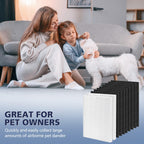 C545 H13 True HEPA Replacement Filter S Compatible with Winix C545 Air Purifier, Replaces Part 1712-0096-00 and 2522-0058-00, 1 True HEPA Filter + 4 Activated Carbon Filters, 1 Pack