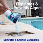 Eeziblue Monthly Algaecide for Swimming Pool — Patented Zn-Cu Synergy™, Treats Green, Black & Mustard Algae, Inground & Above Ground Pools, Up to 13,000 Gallons, Pre-Measured Dose