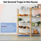 LULUCATCH Super Glue Traps for Mice & Snakes, Larger, Heavier Sticky Traps with Non-Toxic Glue. Sticky Mouse Traps Indoor, Easy to Se (20 Pac)