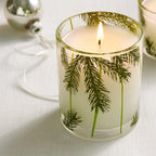 Thymes Frasier Fir Pine Needle Candle – Holiday Candles for Home Scented with Notes of Crisp Siberian Fir, Cedarwood & Sandalwood – Christmas Decor – Christmas Gifts for Women & Men (6.5 oz)
