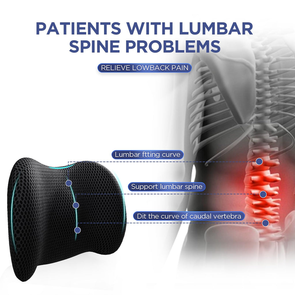 Lumbar Support Pillow for Office Chair, Car Lumbar Pillow Lower Back Pain Relief, Memory Foam Back Cushion with 4D Mesh Cover and Adjustable Straps, Ergonomic Chair Back Pillow for Car,Bed, Gaming