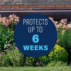 BioAdvanced Shrub Care Protect and Feed Granules - Kills Harmful Listed Insects - Controls Listed Diseases - Insect Control, Disease Control, and Fertilizer - Up to 6 Weeks Protection - 10 lb Bottle