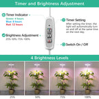 LORDEM Plant Grow Light, Full Spectrum Plant Light for Indoor Plants, Brightness Adjustable LED Growing Lamp with Auto On/Off Timer 4H/8H/12H, Height Adjustable, Ideal for Tall Plants, Pack of 2