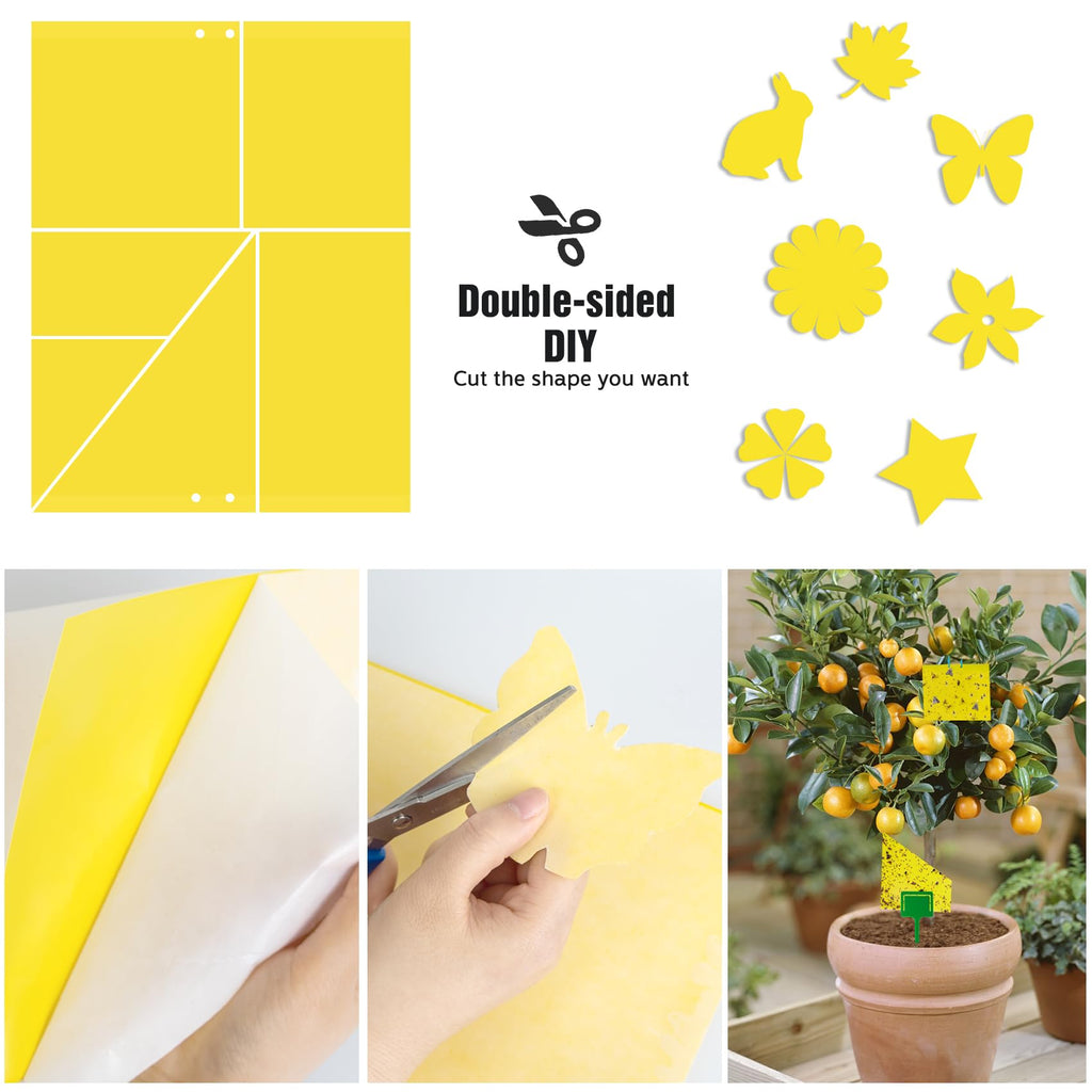 60 Pack Yellow Sticky Traps for Gnats Fruit Fly Traps for Indoors, Fungus Gnat Traps for House Indoor Fly Paper Indoor for Gnats Killer Indoor Trap