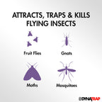 DynaTrap DT152 Indoor Insect Trap and Killer – Catches and Kills Fruit Flies, Gnats, Moths, Mosquitoes & Other Flying Insects + DynaTrap 21523 Replacement StickyTech Glue Boards