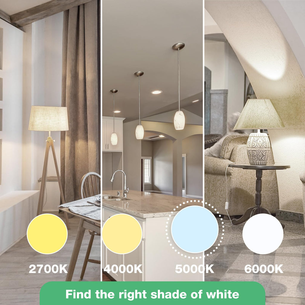 DEGNJU LED Light Bulbs Daylight 5000K, 60 Watt Equivalent LED Bulbs, A19 Standard Bulbs, 800 LM, 15000 Hours, E26 Base, Non-Dimmable, 8W LED Bulbs for Bedroom Living Room 24 Pack