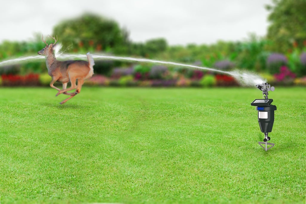 Motion Activated Sprinklers for Yard - Effective Deer & Cat Repellent, Skunk Deterrent, Raccoon & Dog Repellent, Lawn Sprinkler System, Water Sprinkler for Lawn Protection
