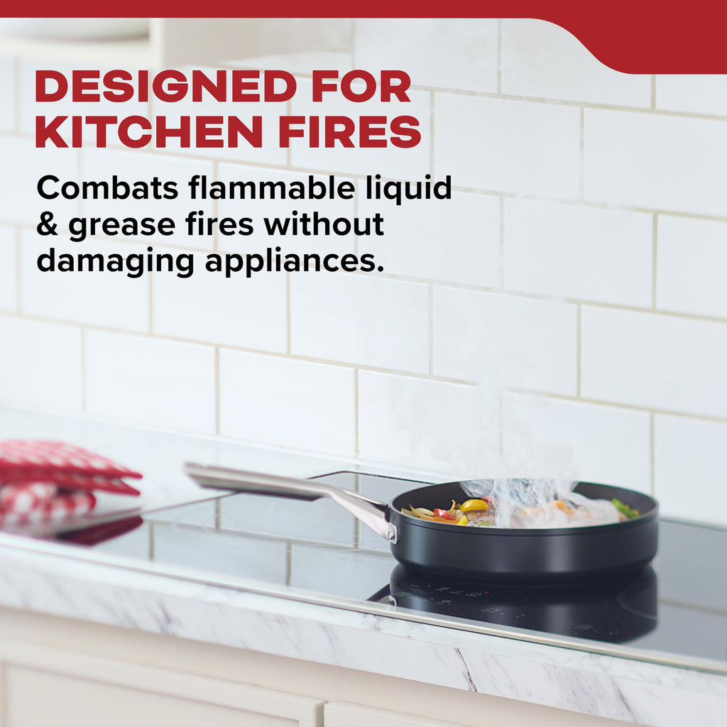 Kidde Kitchen Fire Extinguisher, Home Use for Grease Fires, 3.9 Lbs., Wall Mount Included, White