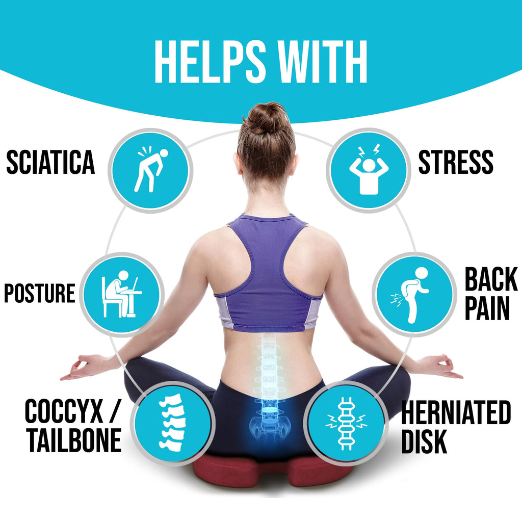 FORTEM Office Chair Cushion and Back Support for Office Chair, Lumbar Support Pillow, Memory Foam, Non Slip Sitting and Back Rest for Gaming, Car Seat Cushion, Chair Pad