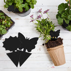 Landisun 96PCS Fruit Fly Traps Sticky Traps Fungus Gnat Traps Insect Bug Traps for Indoor Outdoor Kitchen Plants Whitefly Mosquitos Fungus Gnats Flying Insects, JPM0161